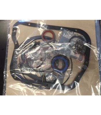 A-727 Gasket & Seal Kit‚ W/Teflon Rings Late 727-K22950-1D